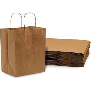 Paper Bags with Handles - 10x6.75x12 Inch 100 Pack